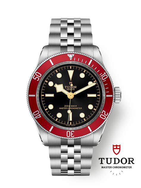 bayyeria cubetto tudor|tudor black bay chronometer.